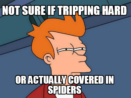 not-sure-if-tripping-hard-or-actually-covered-in-spiders
