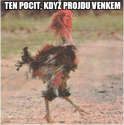 ten-pocit-kdy-projdu-venkem