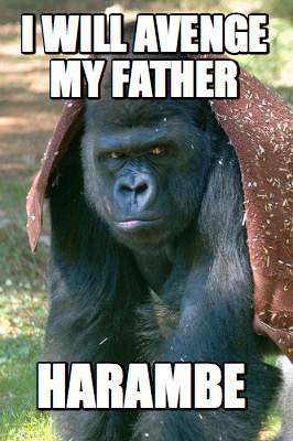 i-will-avenge-my-father-harambe