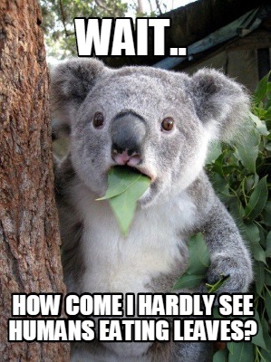 wait..-how-come-i-hardly-see-humans-eating-leaves
