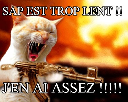 sap-est-trop-lent-jen-ai-assez-