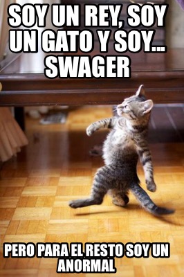 soy-un-rey-soy-un-gato-y-soy...-swager-pero-para-el-resto-soy-un-anormal