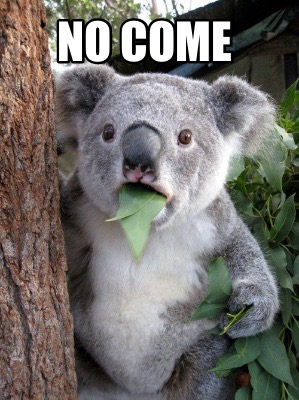 no-come