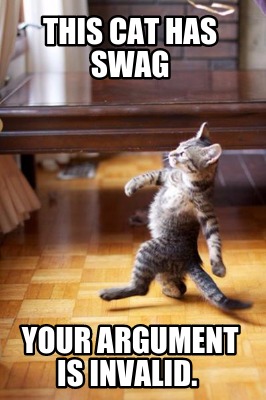 this-cat-has-swag-your-argument-is-invalid