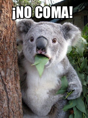 no-coma0