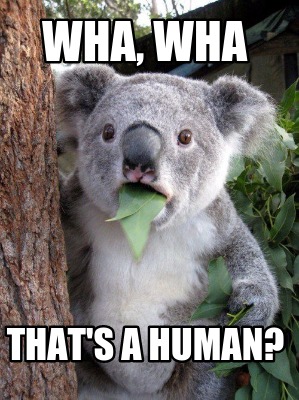wha-wha-thats-a-human