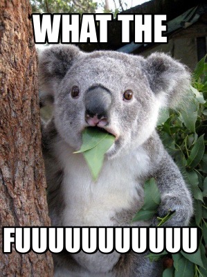 what-the-fuuuuuuuuuuu