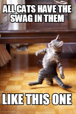 all-cats-have-the-swag-in-them-like-this-one