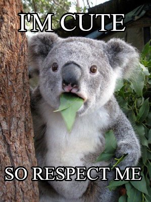im-cute-so-respect-me