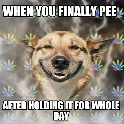 when-you-finally-pee-after-holding-it-for-whole-day