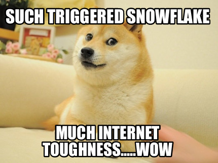 such-triggered-snowflake-much-internet-toughness.....wow
