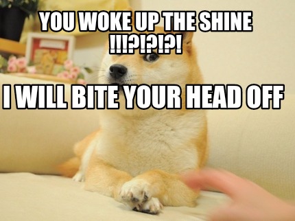 you-woke-up-the-shine-i-will-bite-your-head-off