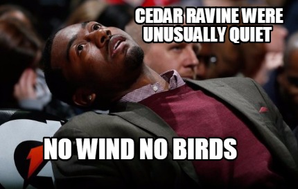 cedar-ravine-were-unusually-quiet-no-wind-no-birds