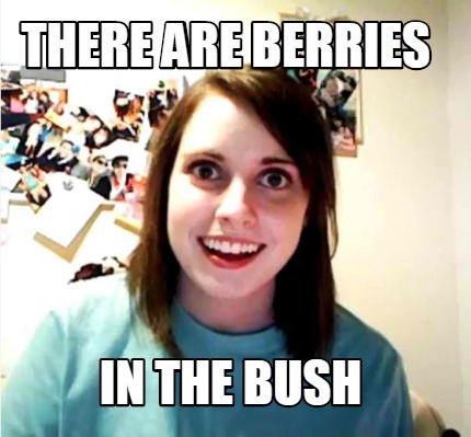 there-are-berries-in-the-bush