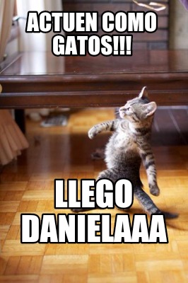 actuen-como-gatos-llego-danielaaa