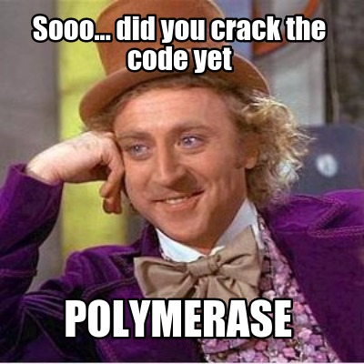 sooo...-did-you-crack-the-code-yet-polymerase
