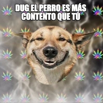 dug-el-perro-es-ms-contento-que-t