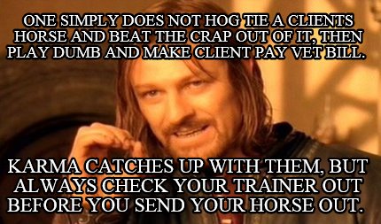 one-simply-does-not-hog-tie-a-clients-horse-and-beat-the-crap-out-of-it-then-pla