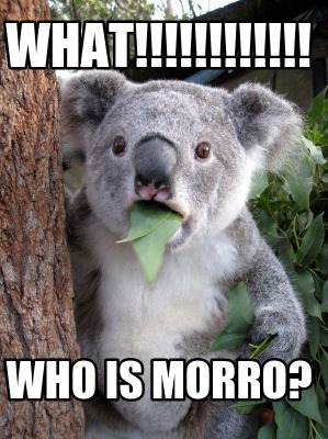 what-who-is-morro