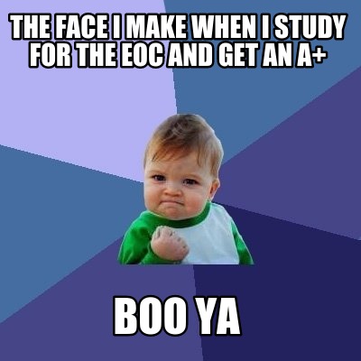 the-face-i-make-when-i-study-for-the-eoc-and-get-an-a-boo-ya