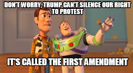 dont-worry-trump-cant-silence-our-right-to-protest-its-called-the-first-amendmen