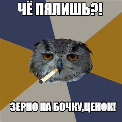 -313