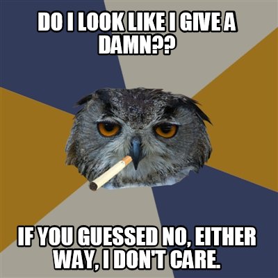 do-i-look-like-i-give-a-damn-if-you-guessed-no-either-way-i-dont-care