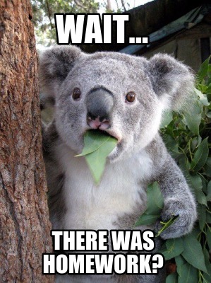 wait...-there-was-homework