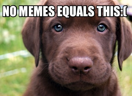 no-memes-equals-this