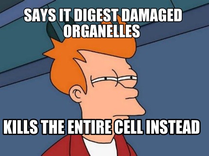 says-it-digest-damaged-organelles-kills-the-entire-cell-instead