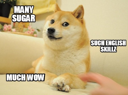many-sugar-such-english-skillz-much-wow