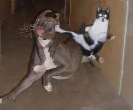 615