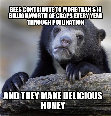 bees-contribute-to-more-than-15-billion-worth-of-crops-every-year-through-pollin