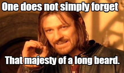 one-does-not-simply-forget-that-majesty-of-a-long-beard