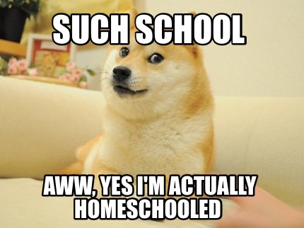 such-school-aww-yes-im-actually-homeschooled
