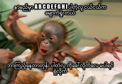 -a-b-c-d-e-f-g-h-i-