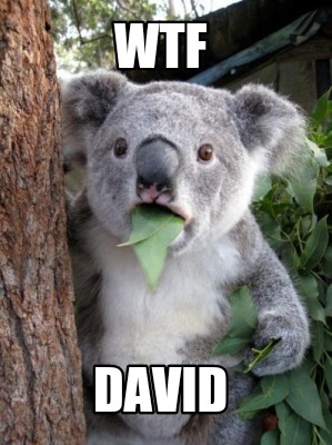 wtf-david