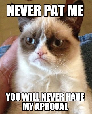 never-pat-me-you-will-never-have-my-aproval