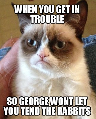 when-you-get-in-trouble-so-george-wont-let-you-tend-the-rabbits