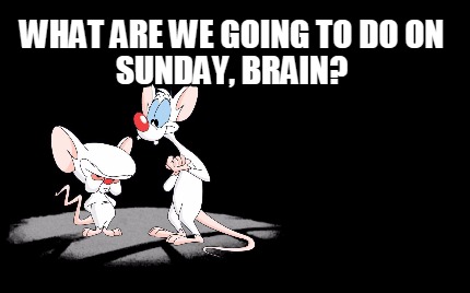 what-are-we-going-to-do-on-sunday-brain