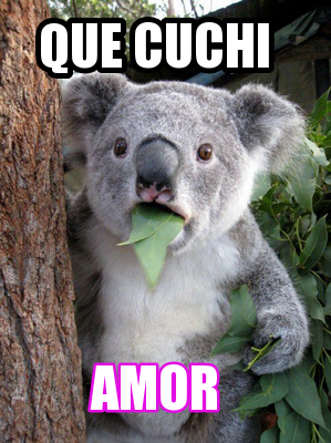 que-cuchi-amor