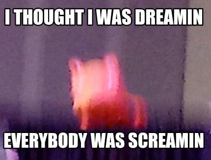 i-thought-i-was-dreamin-everybody-was-screamin