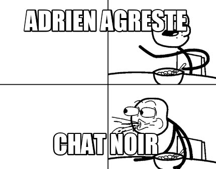 adrien-agreste-chat-noir