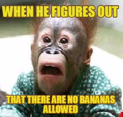 when-he-figures-out-that-there-are-no-bananas-allowed