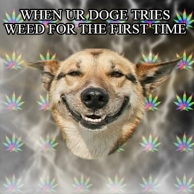 when-ur-doge-tries-weed-for-the-first-time