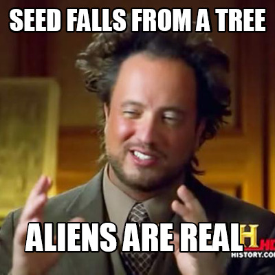 seed-falls-from-a-tree-aliens-are-real