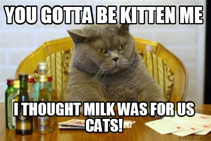 you-gotta-be-kitten-me-i-thought-milk-was-for-us-cats