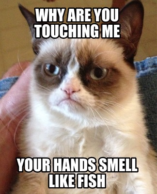 why-are-you-touching-me-your-hands-smell-like-fish