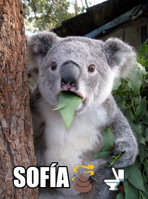 sofa