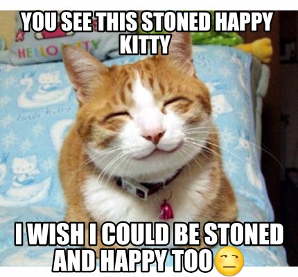you-see-this-stoned-happy-kitty-i-wish-i-could-be-stoned-and-happy-too